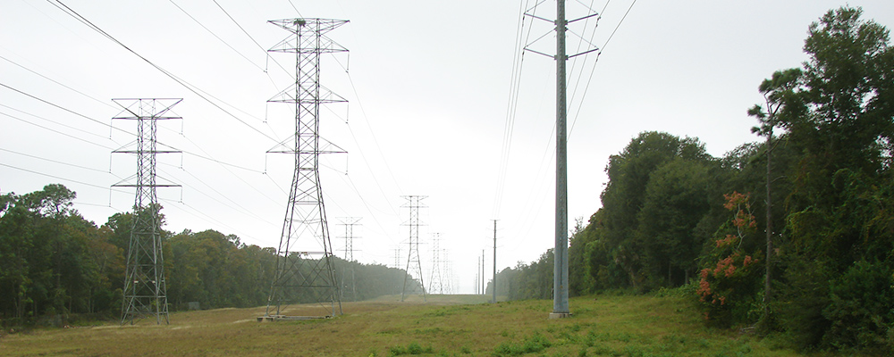 Power lines near trees