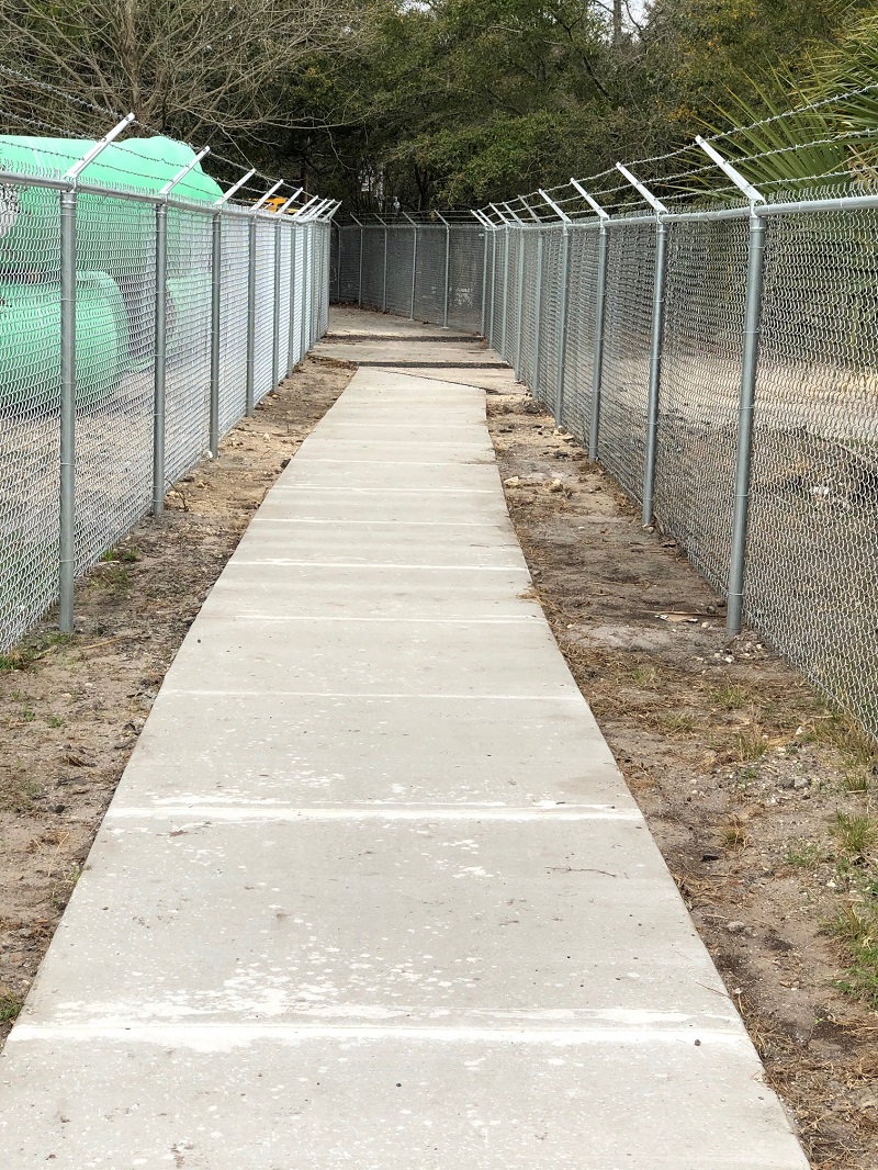 Buckman Pedestrian Bridge Progress Photo