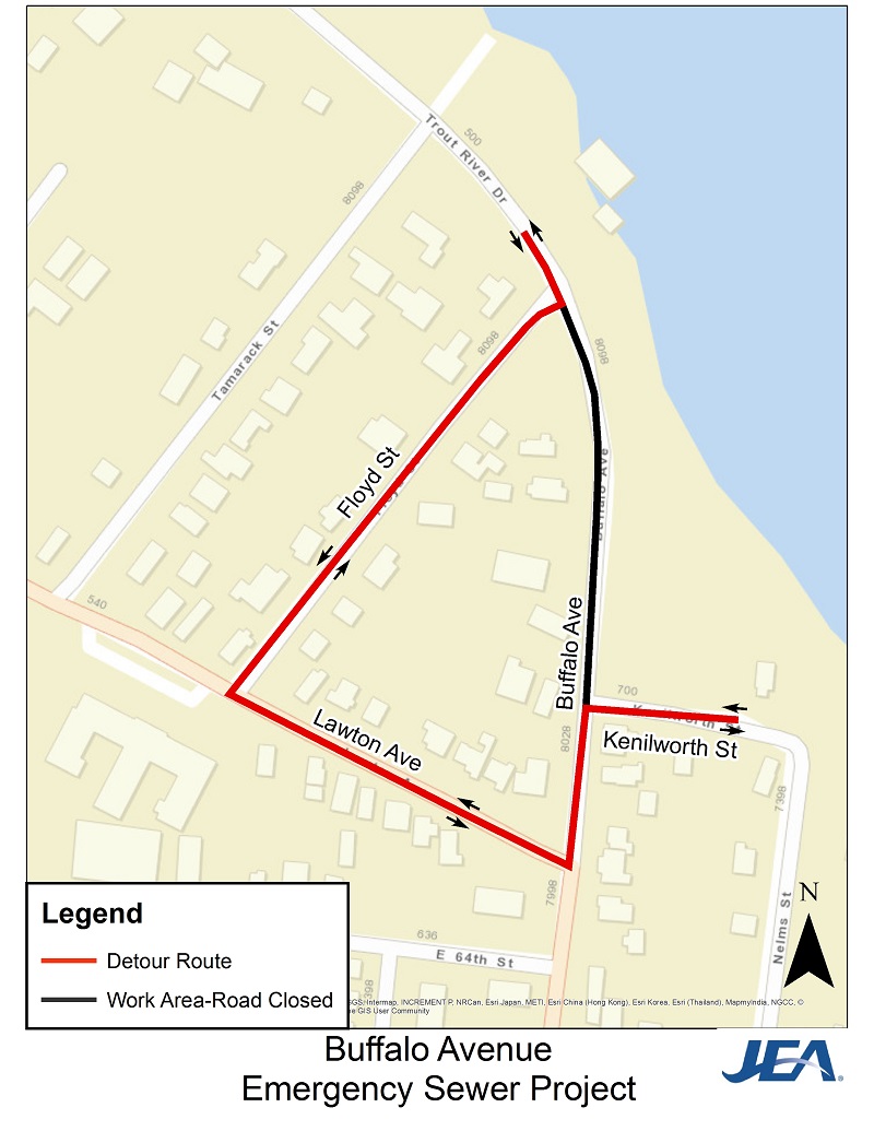 Buffalo Detour