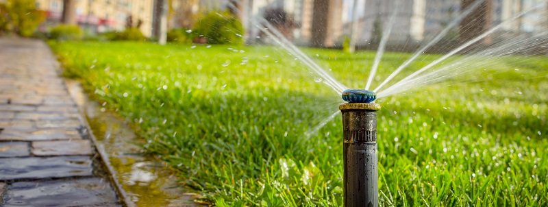 Lawn Sprinkler