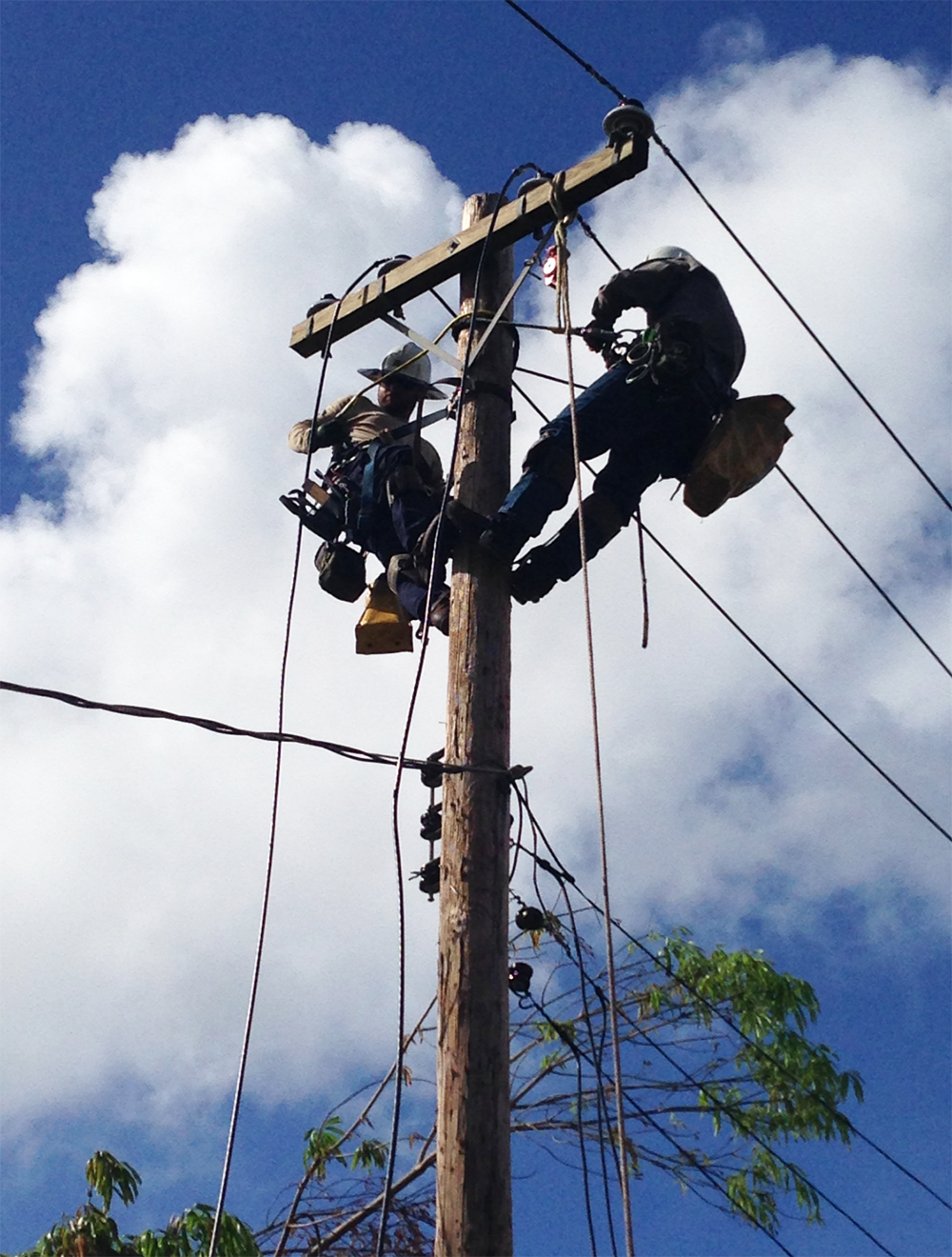 JEA Lineman Pull Wires Puerto Rico